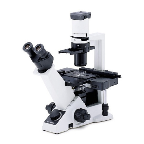 Inverted Microscopes