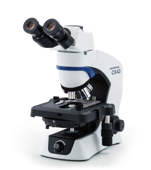 Upright Microscopes